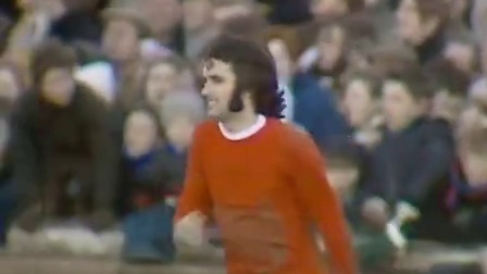 在灰狼全队 在灰狼全队